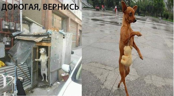 Не добавленные в комменты картинки