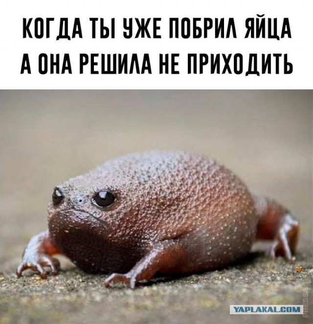 Когда тебе +35, то времени на раскачку просто нет