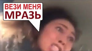 Приключения скамейки в Петербурге