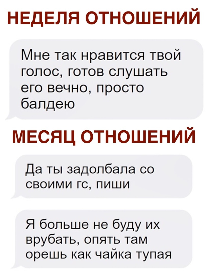 15072740.jpg