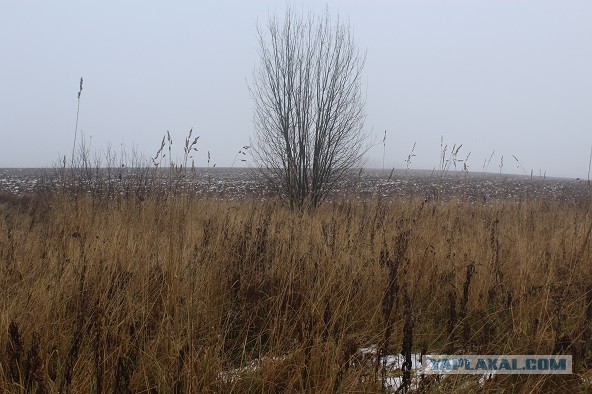 Жизнь городских окраин