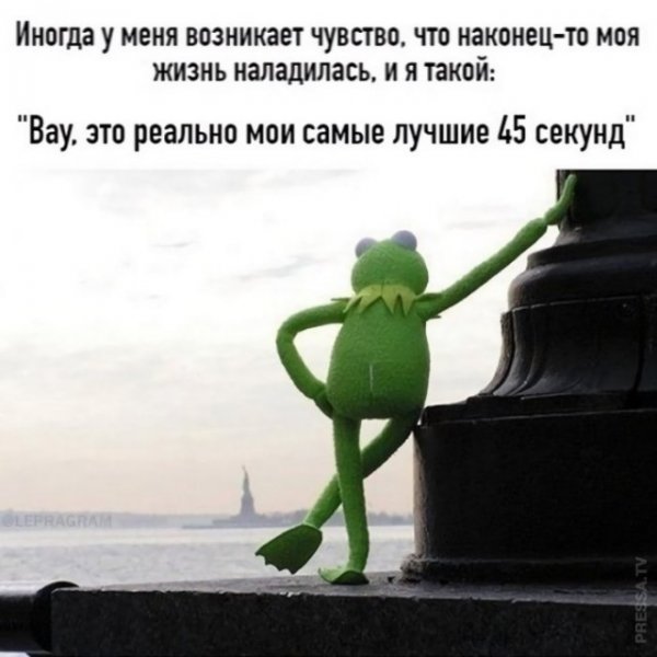 Прикольные и просто красивые картинки 11.02.2021