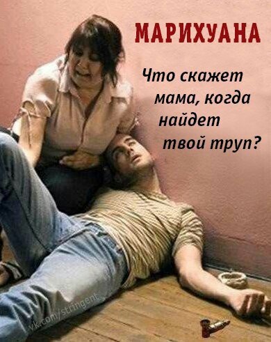В Петербурге при обыске в нарколаборатории задержали депутата