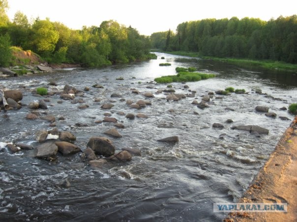 В Тихвине двое безумцев решили искупаться возле шлюза спускаемой воды у местной ГЭС