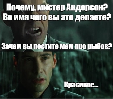 Вы меня достали своими рыбАми. Айда обратно к Наташе