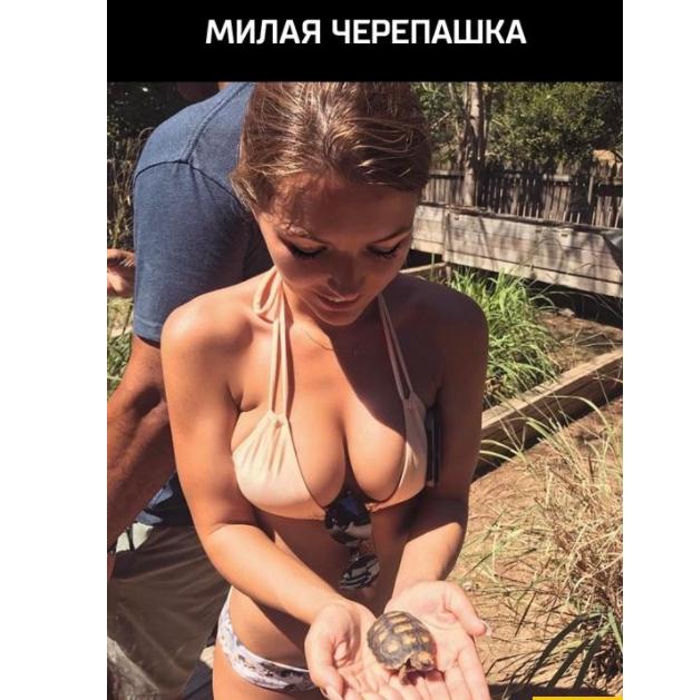 Картинки и мемы, всем прекрасных выходных