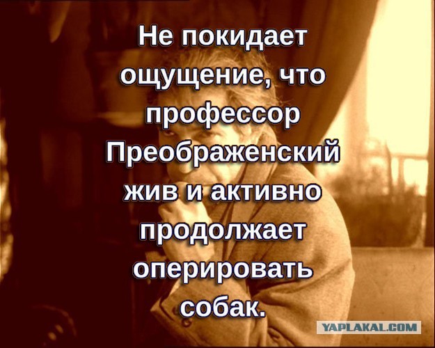 Веселые картинки 20.01.2022