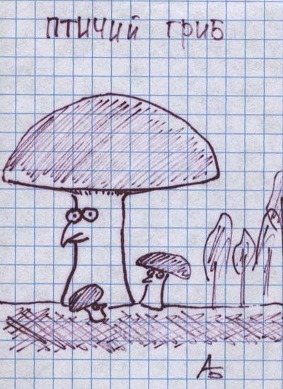 Дунули-придумали