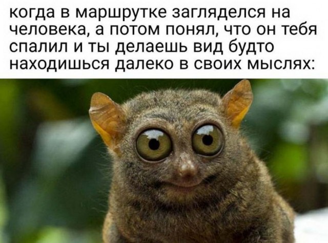 Картинки 20.05.22.