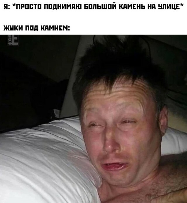 Весёлый полтишок 24.05.22