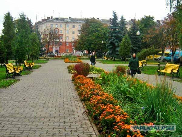 Бронкс — крыши и дворы
