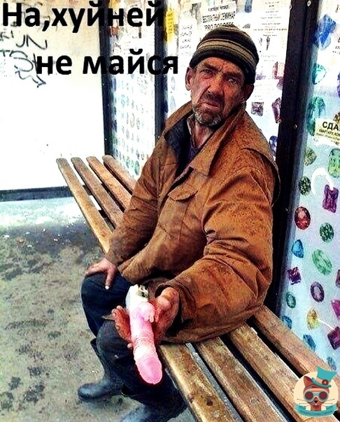 4 года псу под хвост?