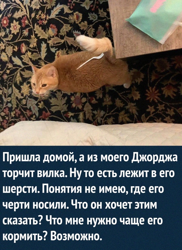 Картинки и мемы для настроения. Выходные рядышком...