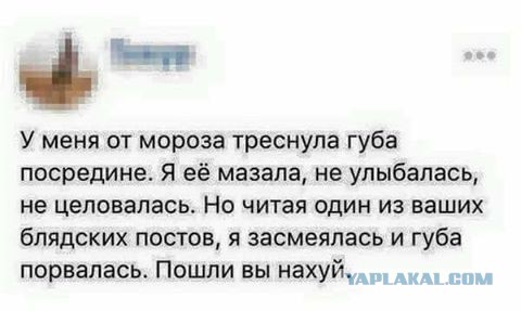 Забавные комментарии из социальных сетей (31.10.22)