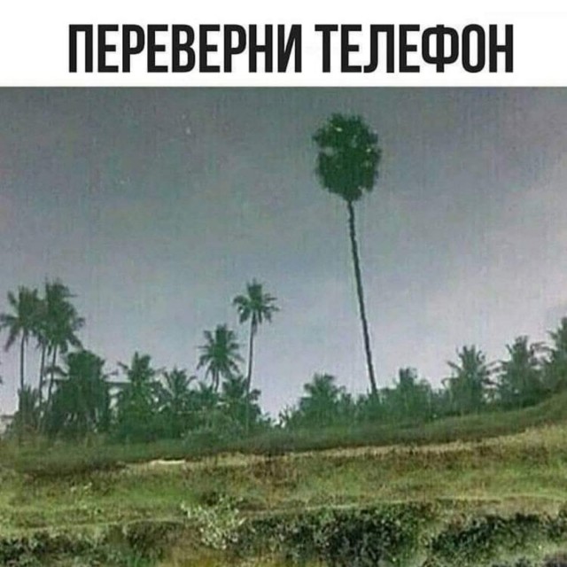 Забавные комментарии из социальных сетей (16.01.23)