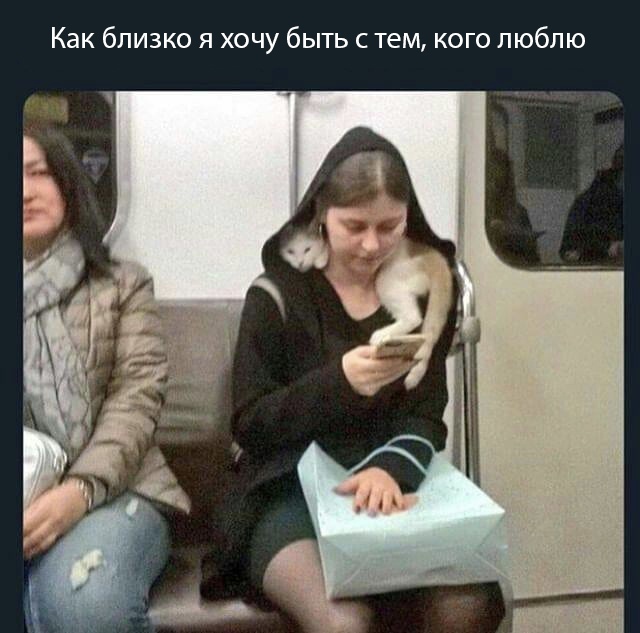 Картинки и мемы для настроения - 131