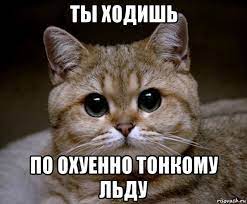 Теория Григория Климова