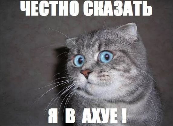 Победная поступь идиотизма по планете – том 13