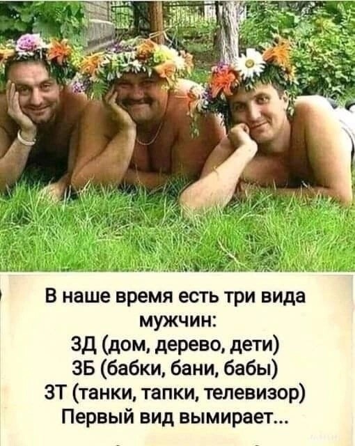 Так себе картинки 23.06.23