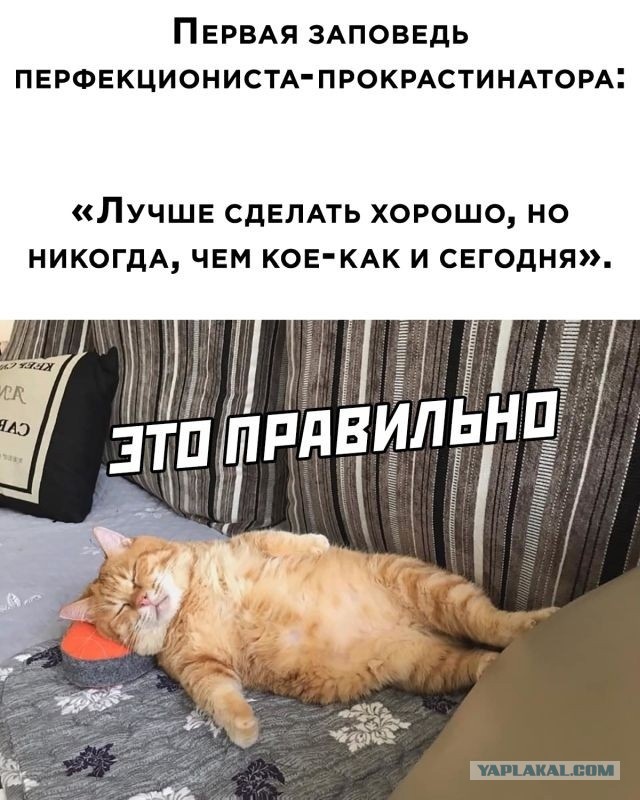 Без врага жизнь скучна, а с врагом - интересна