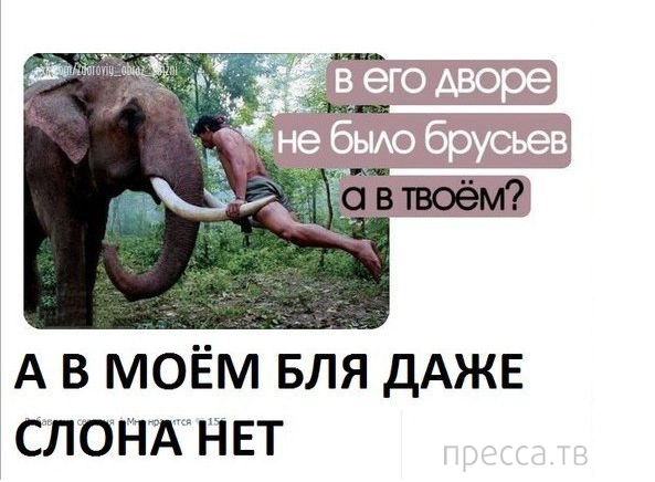 Очень древние баяны