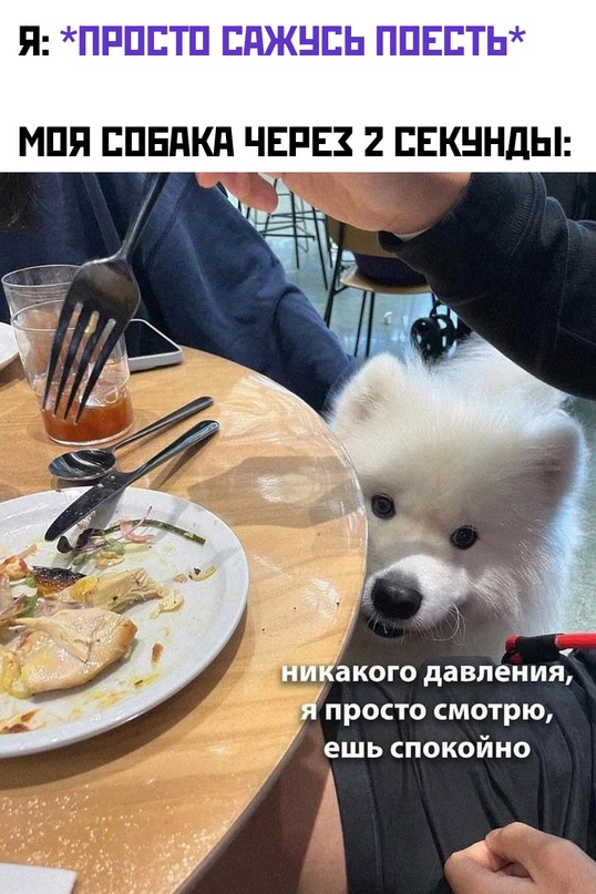 Весёлый полтишок 29.01.24