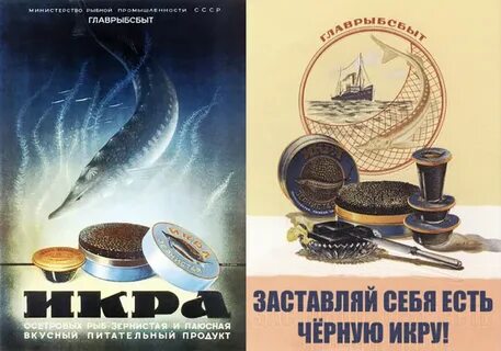 В СССР это необычное мясо было очень популярно, а теперь его невозможно купить: вот почему исчезли консервы из кита
