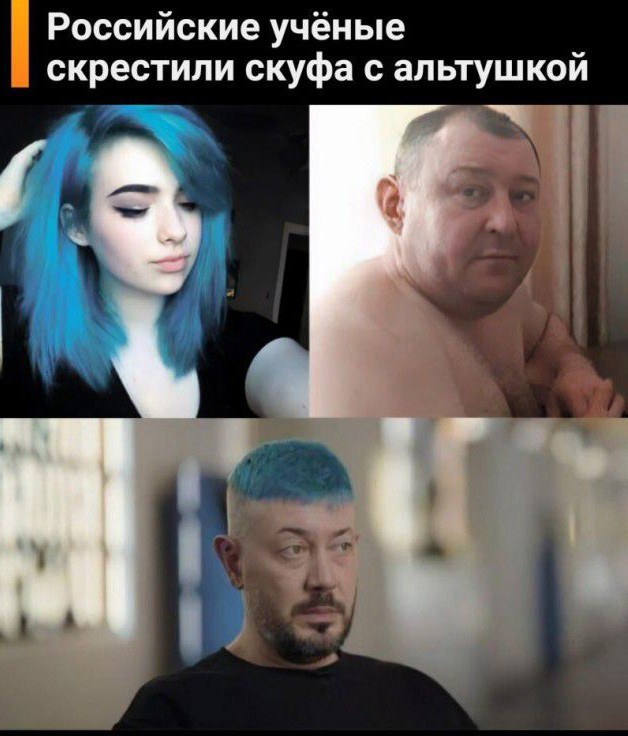 Лебедев извинился перед Мизулиной