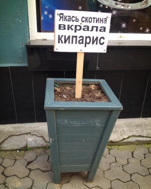 Так себе картинки 08.10.24