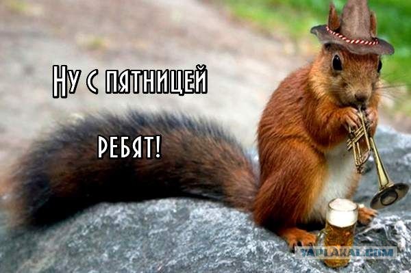 Пятничные картинки.