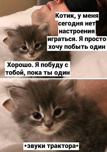 Так себе картинки 22.11.24