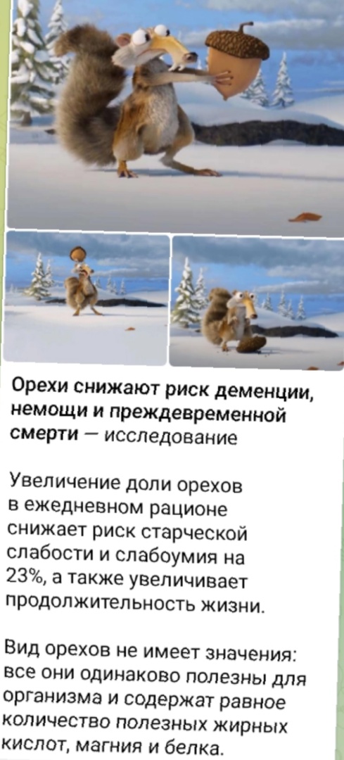 Так себе картинки 02.12.24