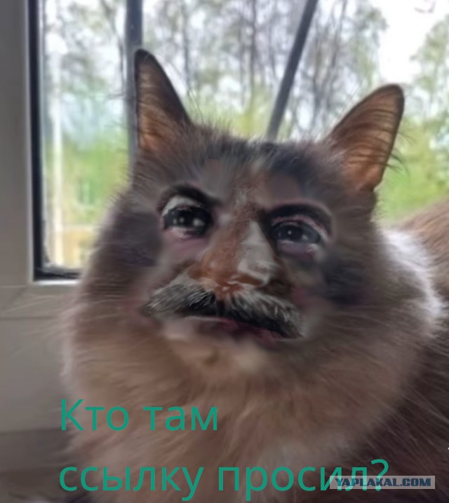Гамарджоба