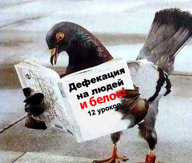 В парках Москвы появились кормушки с фейсконтролем
