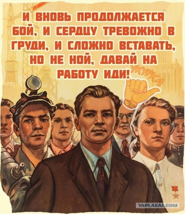 Так себе картинки 12.02.25