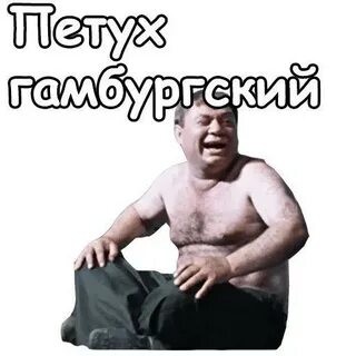 «Безмозглый галльский петух никак не успокоится с идеей отправки войск на «Украину»