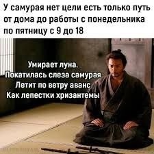 Субботние картинки