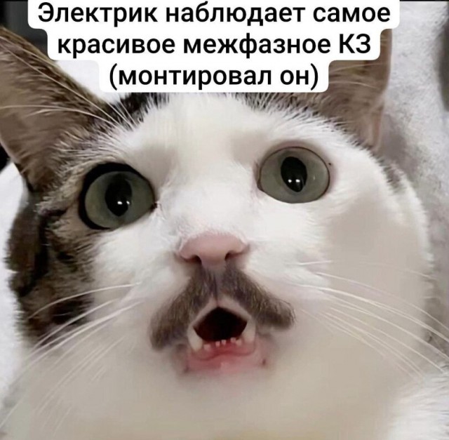Куча мала 10!