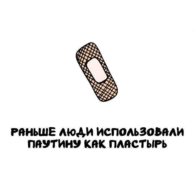 Интересные и короткие факты на все случаи жизни 05.01.26