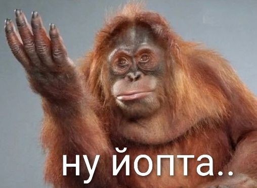 Бить или не бить... Вот в чем вопрос.