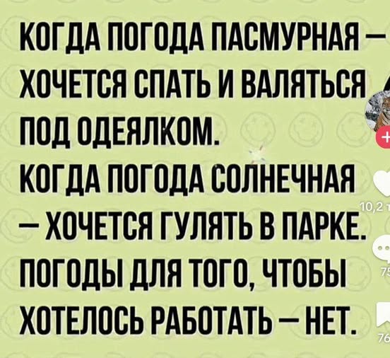 Картиночки, баянчики 31 января