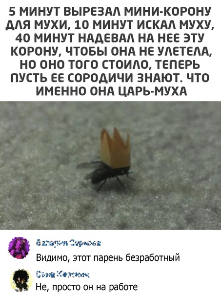Картинки для деградации 30 (разной степени свежести)