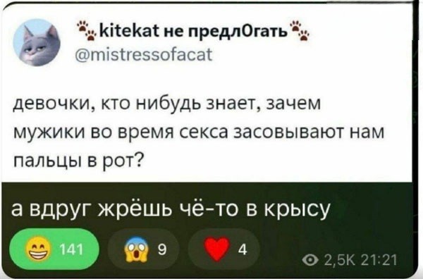 Картинки для деградации 156 (разной степени свежести)