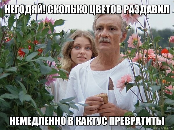 Lexus прокатился по зоне, предназначенной для пешеходов