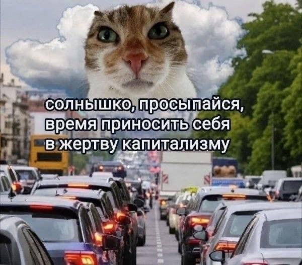 Вы что, хотите как в Монголии?