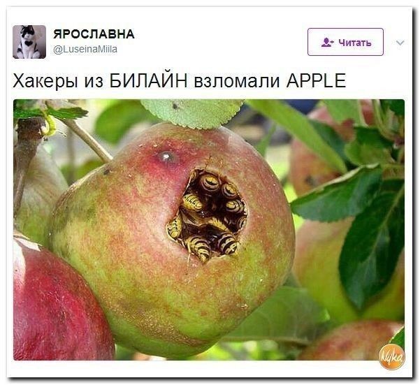 Так себе картинки 31.07.26