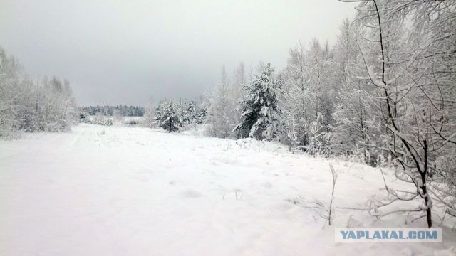 Деревенская Америка