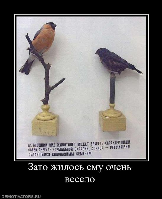 Просто фото. Взгляните на это под другим углом...