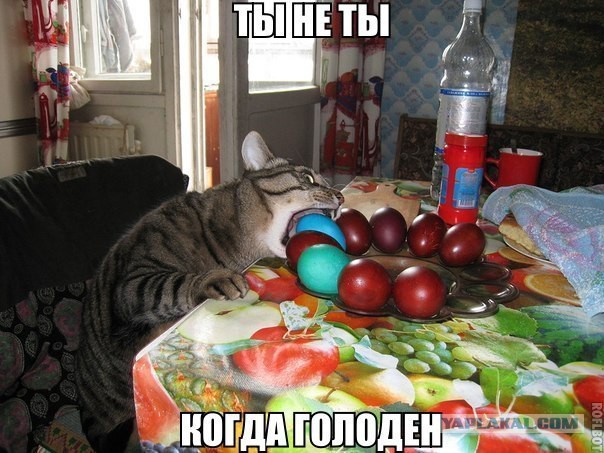 Смешные комментарии из социальных сетей (часть 5)