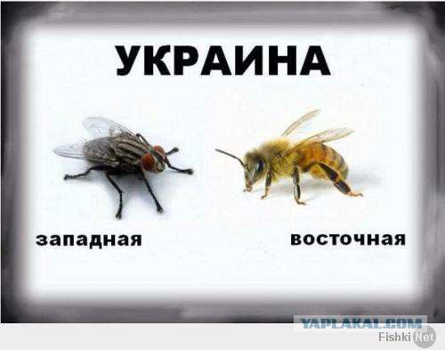 Ополченцы отправились из Донецка в Славянск